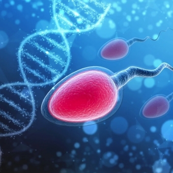 Ανδρική γονιμότητα: Νέες ενδείξεις για τη σχέση της με το μικροβίωμα σπέρματος
